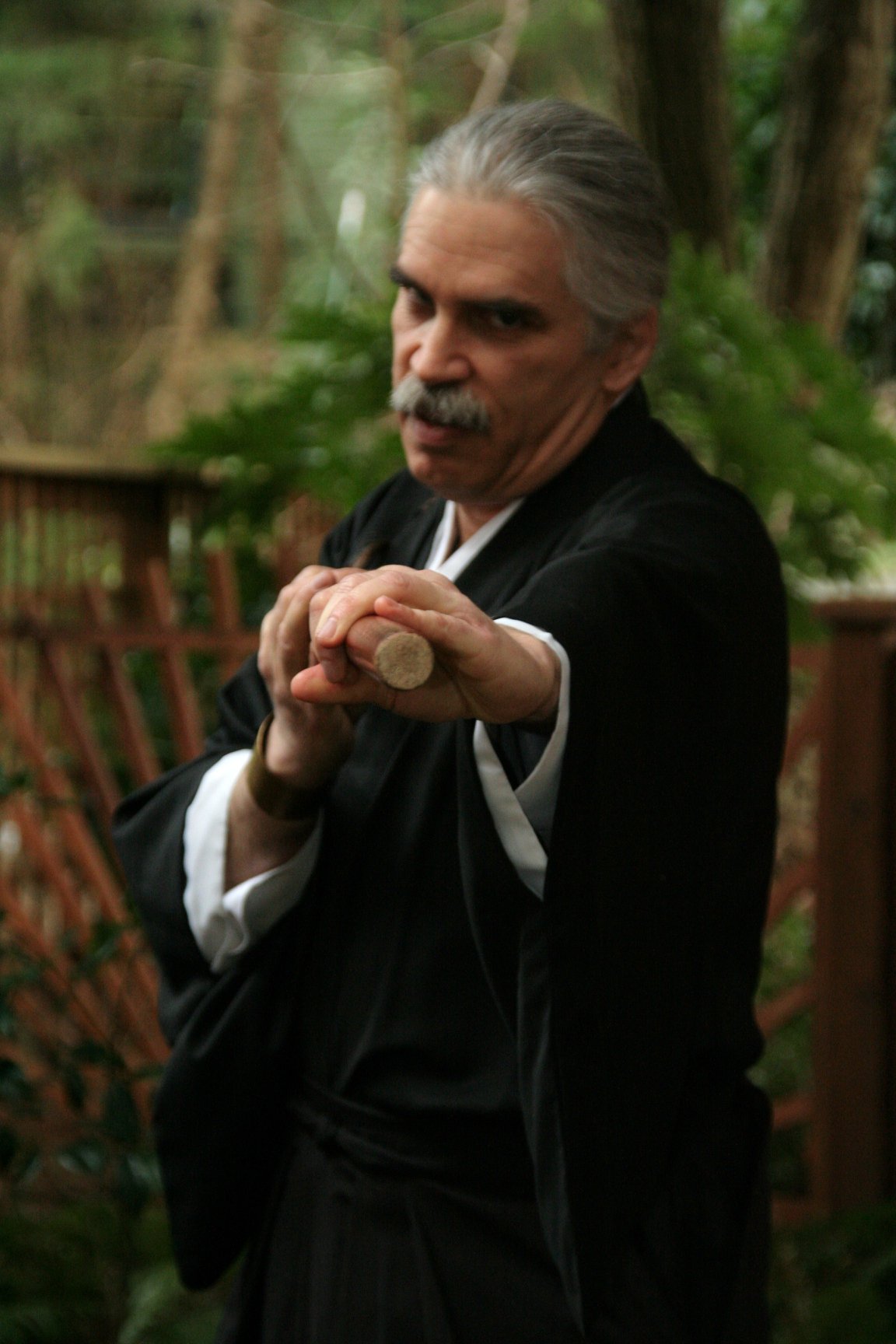 A man with gray hair in a black robe holding a staff