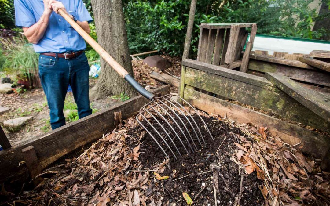 The Magic of Composting