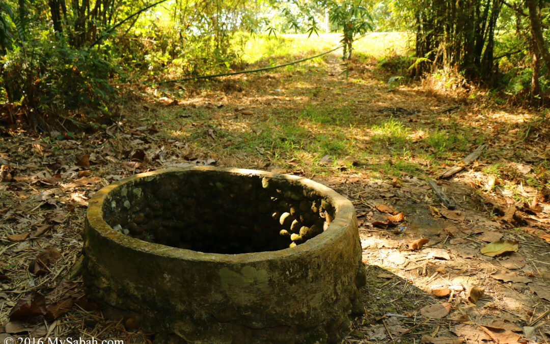The Healing Well
