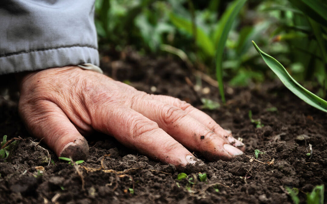 Return to the Mother: Human Composting