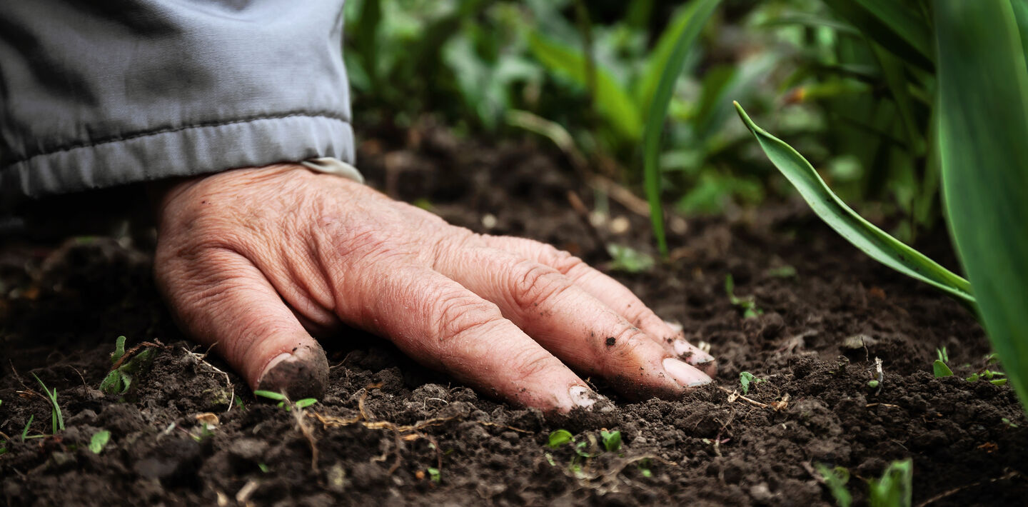 A person's hand on a pile of composted earth.